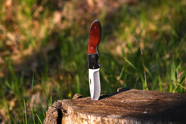 knife in log
