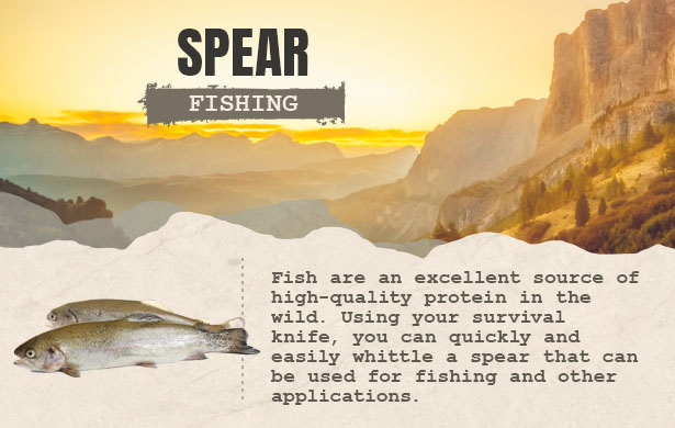 spear fishing graphic